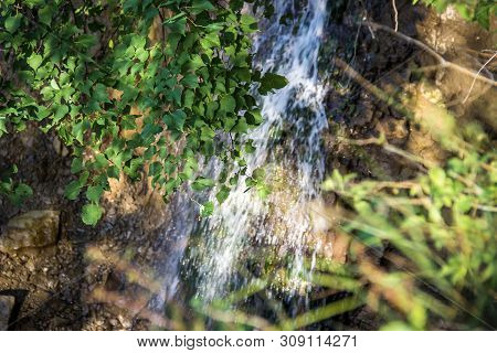 Green Birch Leaves View From Top. Shiny Waterfall On Background.