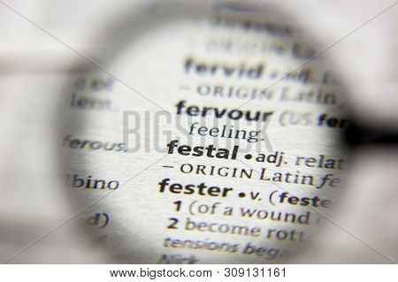 The Word Or Phrase Festal In A Dictionary