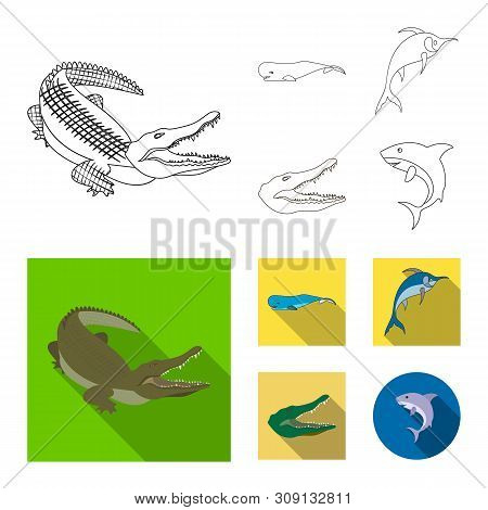 Vector Design Of Sea And Ocean Logo. Collection Of Sea And Reptiles Stock Vector Illustration.