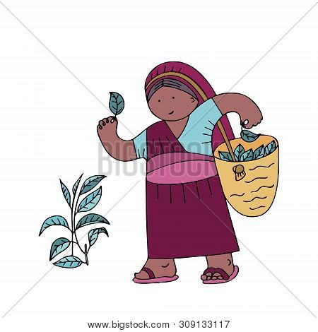 Tea Leaves Collector In A National Costume With A Basket In Doodle Style With A Stroke. Icon For Gam
