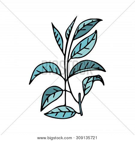 Fair Trade Products, Tea Leaves In Particular, In Doodle Style With A Stroke. Icon For Games And App