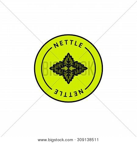 Nettle Leaf Herbal Organic Badge And Icon In Trend Linear Style - Vector Green Logo Emblem Of Medica
