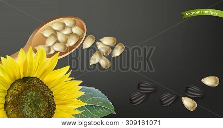 Sunflower Seeds Vector Realistic. Darkl Background. 3d Illustrations