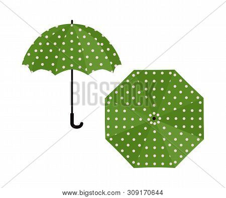 Umbrella Green With Polka Dot On White Background