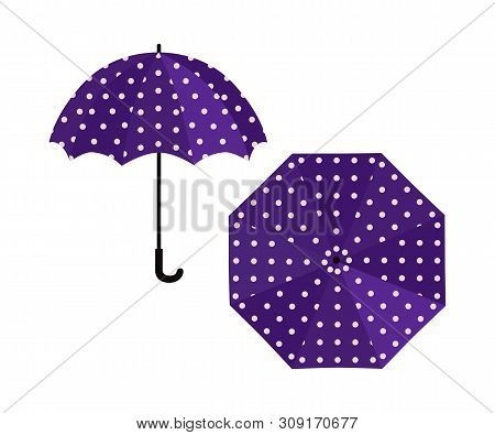 Umbrella Purple With Polka Dot On White Background