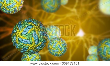 Zika Viruses, The Causative Agent Of Zika Fever, Transmitted By Mosquito Bite And Causes Microcephal