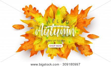 Colorful Promo Banner Vector Photo Free Trial Bigstock
