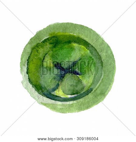 Eucaliptus Floral Botanical Flower. Watercolor Background Illustration Set. Isolated Eucaliptus Illu