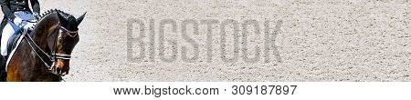 Dressage Horse And Rider In Black Uniform. Horizontal Banner For Website Header Design. Beautiful Ho