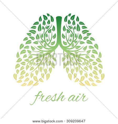Lungs With Foliage. Healthy Human Lungs With Leaves Vector Concept