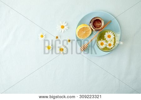 Chamomile Flowers And Chamomile Tea. Chamomile Tea In Glass Teacup With Flowers, Honey And Lemon, To