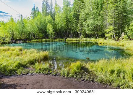 The Green Thermal Lake Near Aktash, Altai Mountains. Summer Time. The Pacifying Landscape Among The 