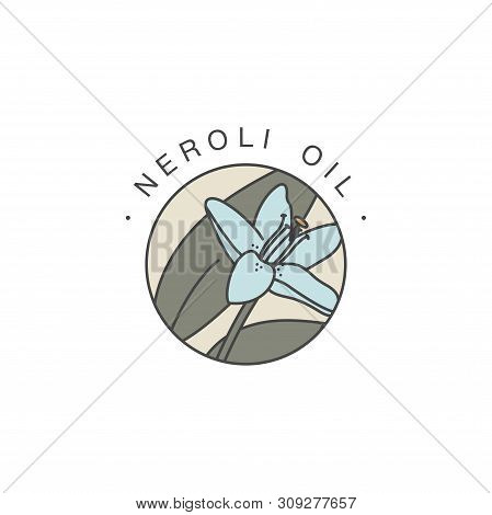 Vector Design Template And Emblem - Healthy And Cosmetics Oil. Neroli Natural, Organic Oil. Colorful