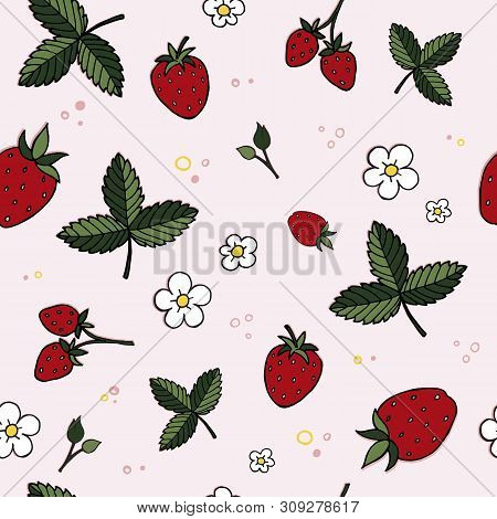 Vector, Red, Beautiful Strawberries On A Pink Background.