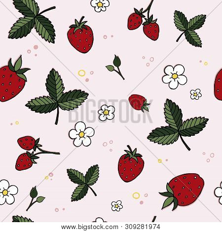 Vector, Red, Beautiful Strawberries On A Pink Background.