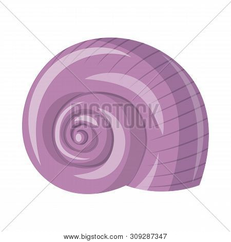 Isolated Object Of Seashell And Mollusk Icon. Set Of Seashell And Seafood Vector Icon For Stock.