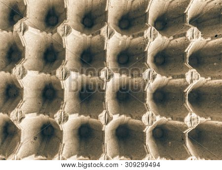 Open Empty Cardboard Egg Container Box, Farm Egg Tray Carton Grid Background, Egg Packaging of Product Protection
