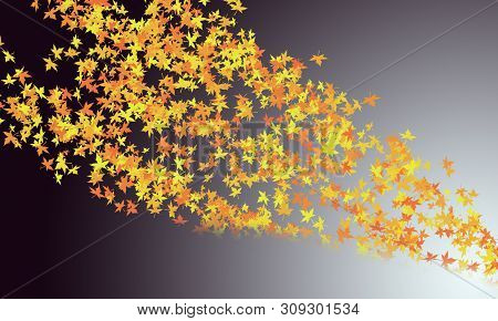 Celebration Color And Bogeh On Color Background