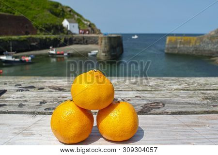 Clementine Satsumas Oranges Art The  Post Side  In Summer Sunshine