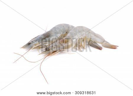 Whole Round Fresh Vennamei Shrimps On A White Background