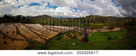 Landscape With The Rice Fields And Onive River At Antanifotsy In Madagascar