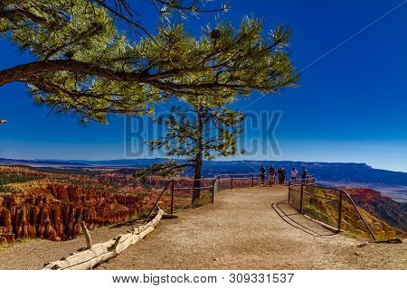 Grof Peouple Looking At Bryce Canyon From Inspiration Point With A Treee Branch As Foreground
