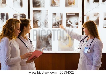Group Of Nurse Studying The Sections Of The Brain. The Concept Of Health Education. Students In The 