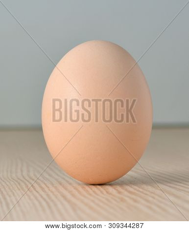 Brown Egg Standing Vertically On Its Fat End.