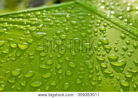 Large Drops Of Water On Green Textiles With A Waterproof Effect. Water-repellent Impregnation. Textu
