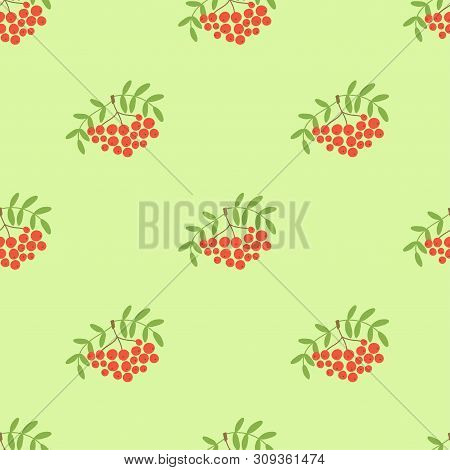 Mountain Ash Seamless Pattern. Vector Berries. Organic Healthy Food. Fashion Print. Design Elements 