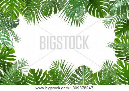 Frame Made Of Fresh Green Tropical Leaves On White Background. Space For Design