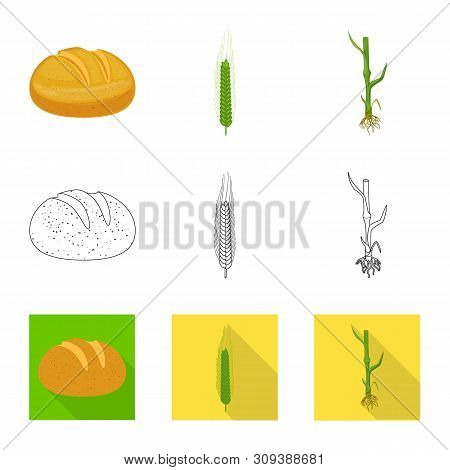 Vector Illustration Of Agriculture And Farming Icon. Set Of Agriculture And Plant Vector Icon For St