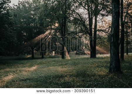 Bursting Light Rays, Light Beams Through The Trees In A Forest Or Park At Sunrise Near Saylorville L