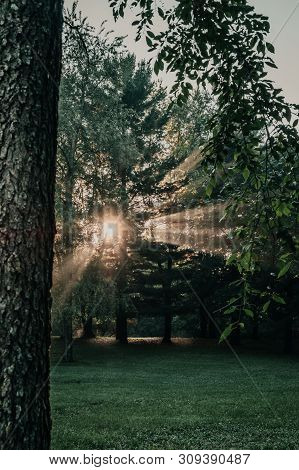Bursting Light Rays, Light Beams Through The Trees In A Forest Or Park At Sunrise Near Saylorville L
