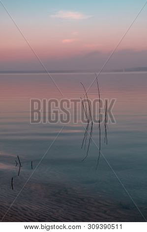 Reflection Of Twigs And Pink Clouds On A Lake. Saylorville Lake, Near Polk City, Iowa, Usa. Blue Hou