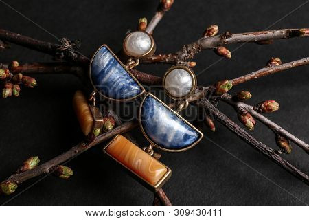 Branches With Beautiful Earrings On Black Background. Luxury Jewelry