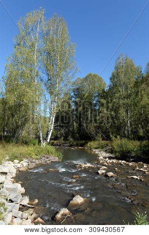 The Mountain River Yarovka On The Territory Of The Altai Territory In Western Siberia. Russia