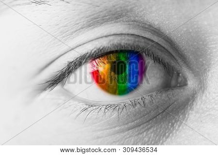 Colors Eyes Vision Concept, Lgbt Rainbow Colorful Pupil Closeup Macro