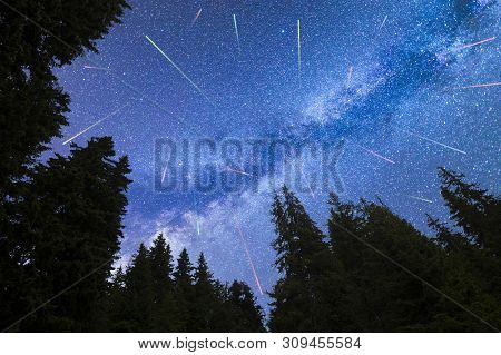 A View Of The Stars Of The Blue Milky Way With Pine Trees Forest Silhouette In The Foreground. Night