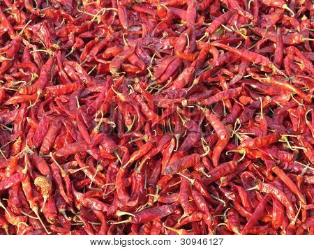 Rød chili peber