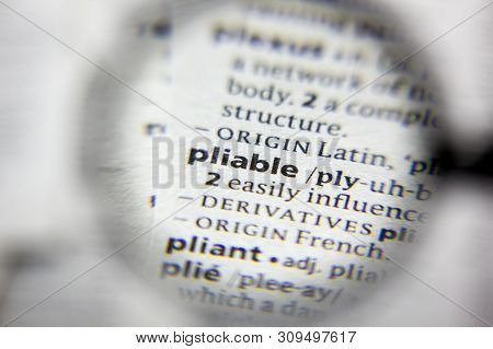 The Word Or Phrase Pliable In A Dictionary