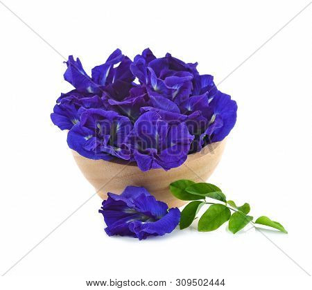 Clitoria Ternatea Or Aparajita Flower Isolated On White Background