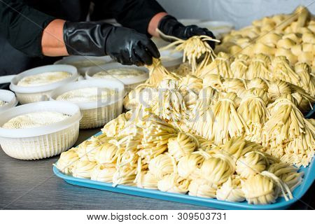 Cheese Production, Chechil Cheese, Dairy Product, Factory