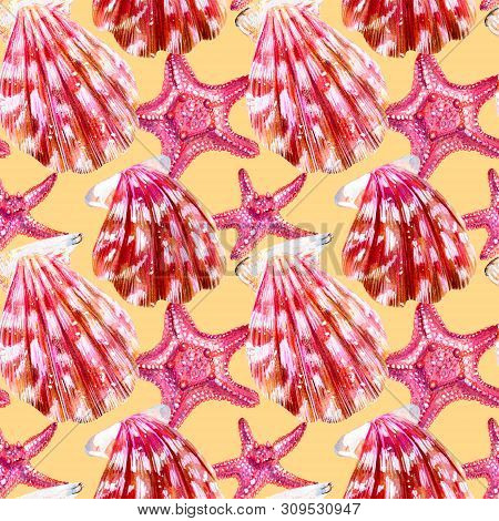 Seamless Pattern Of Scallop Shells. Mother Of Pearl With Pink Clam Pectinidae And Starfish On A Beig