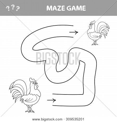 Game Chicken Maze Find Way To Each Other - Cock Rooster Bird.