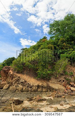 Green Forest On Rocky Shore In Sapi Island Malaysia