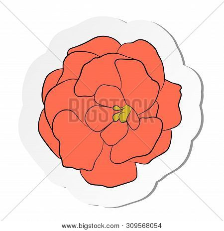 Vector Illustration, Sticker Of Orange Gloxinia Flower In Flat Cartoon Style Isolated On White Backg