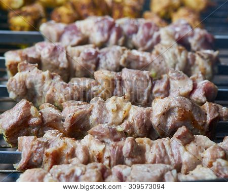 Marinated Barbecue Shashlik Kebab With Curry Winglets In Chargrill Semifinished On Skewer Dacha Picn
