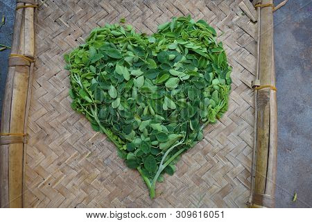 Moringo Tree Leaves
