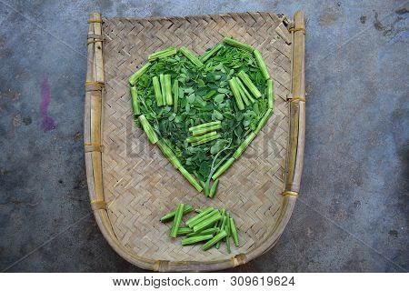 Moringo Tree Leaves And Drumsticks Fruits Of This Plants
